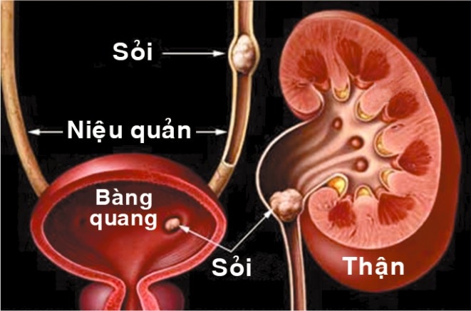 bai-thuoc-tu-rau-ngo-chua-benh-soi-than-soi-mat-hieu-qua(1)