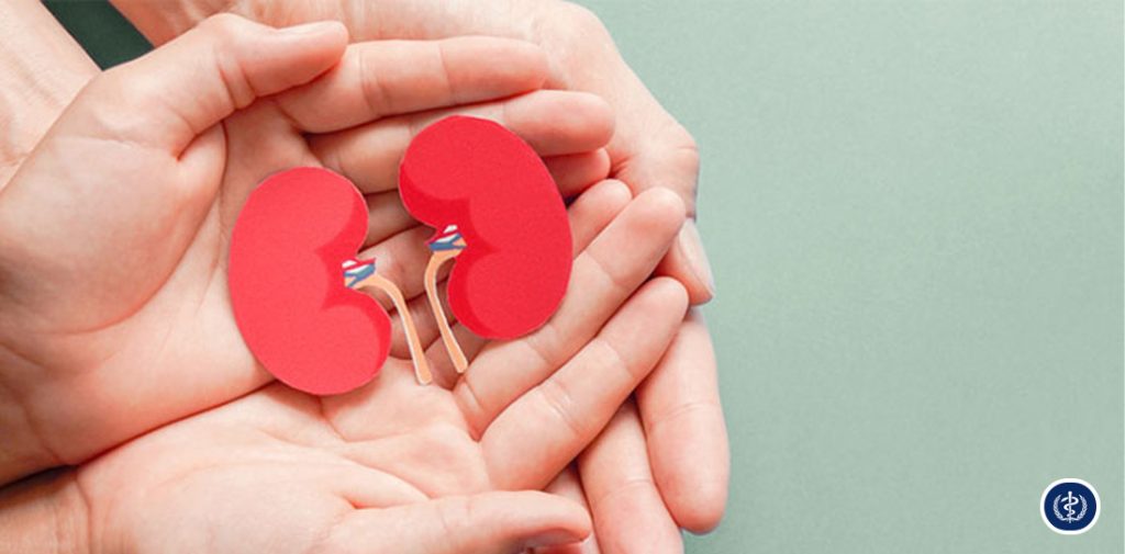 Bảo Vệ Sức Khỏe Thận Và Chiến Lược Phòng Ngừa Suy Thận Mãn Tính Trong Cộng Đồng