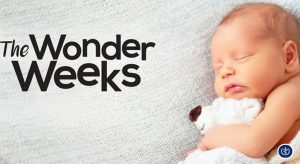 Cham Soc Tre So Sinh Va Cach Vuot Qua Nhung Tuan Khung Hoang Wonder Weeks