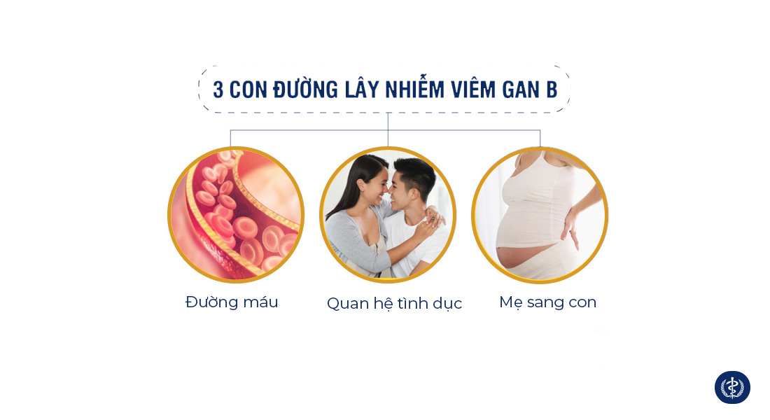 Viêm Gan Siêu Vi B: Cẩm Nang Toàn Diện 2026 3 Con đường lây nhiễm viêm gan B