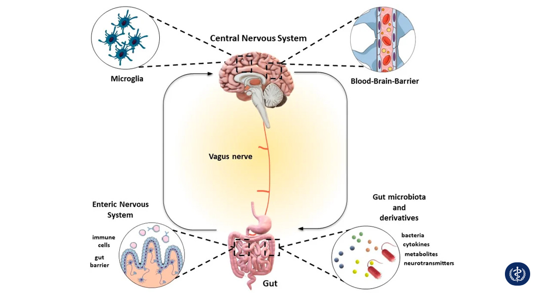 Mối Liên Hệ Giữa Căng Thẳng Tâm Lý Và Hội Chứng Ruột Kích Thích (IBS) 2