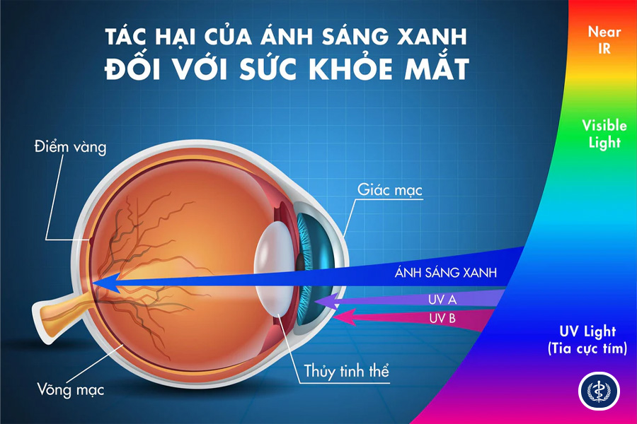 Tác Động Của Ánh Sáng Xanh Và Chiến Lược Cải Thiện Vệ Sinh Giấc Ngủ Trong Kỷ Nguyên Số